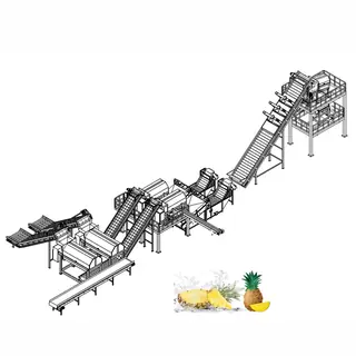 Mango Pulp, Juice & Jam Processing Line