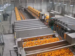 Fresh Orange and Lemon Juice Production Line