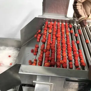 Automatic Tomato Paste Production Line