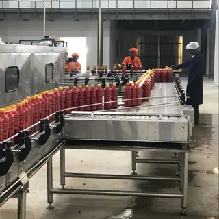 Tomato Ketchup, Paste & Sauce Processing Line
