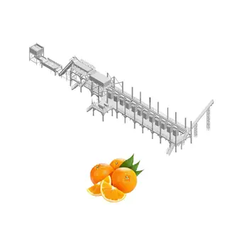Orange Juice Concentrate Production Line