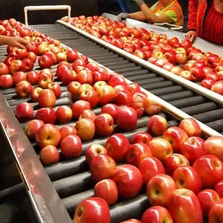Complete Apple Juice & Cider Line