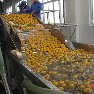 PLC Fruit Juice Line with PET Bottle Filling