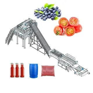 Tomato Puree and Paste Processing Plant