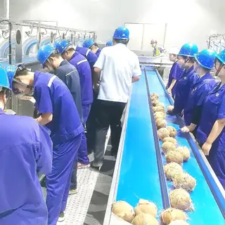 Coconut Water & Coconut Milk Processing Line
