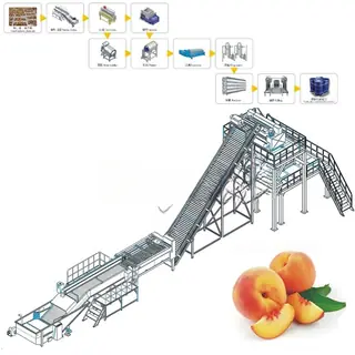 Roller Sorting Machine for Fruit & Vegetables