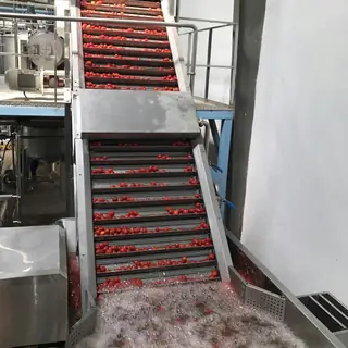 Tomato Paste Production Line, 2–5 T/H